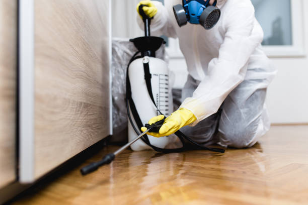 Best Pest Prevention Services  in Oxford, IN