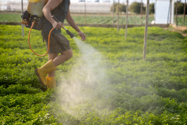 Best Residential Pest Control  in Oxford, IN