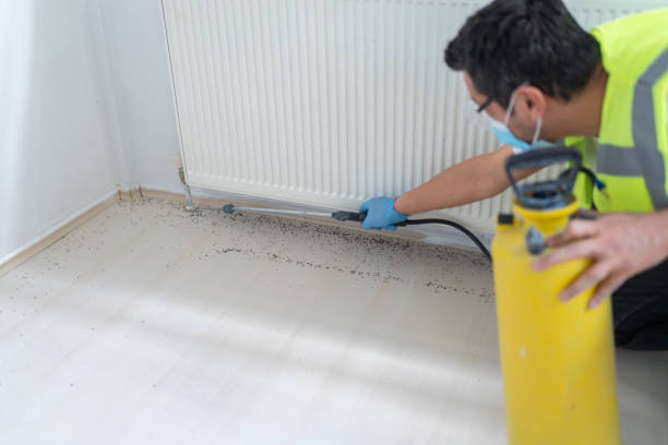Best Pest Removal Services  in Oxford, IN